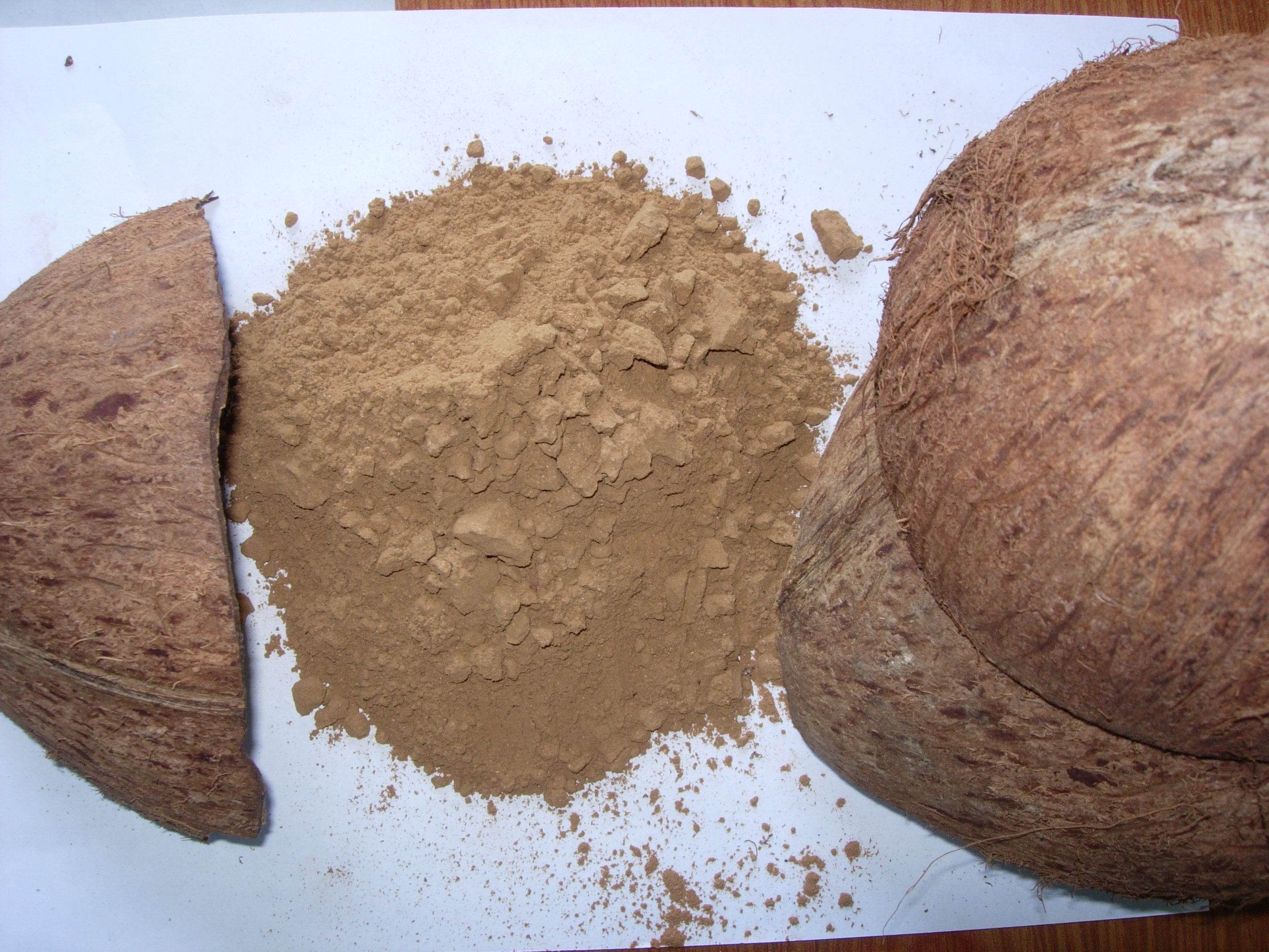 Coconut Shell Powder
